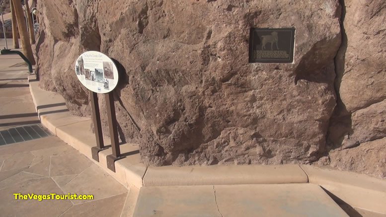 The Hoover Dam Dog Grave