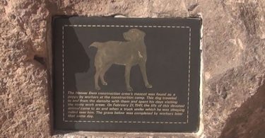 Talking About The Hoover Dam Dog