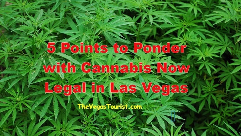 5 points to ponder about getting stoned in Las Vegas