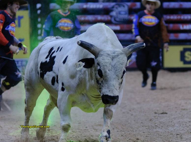 2017 PBR World Finals coming to Las Vegas