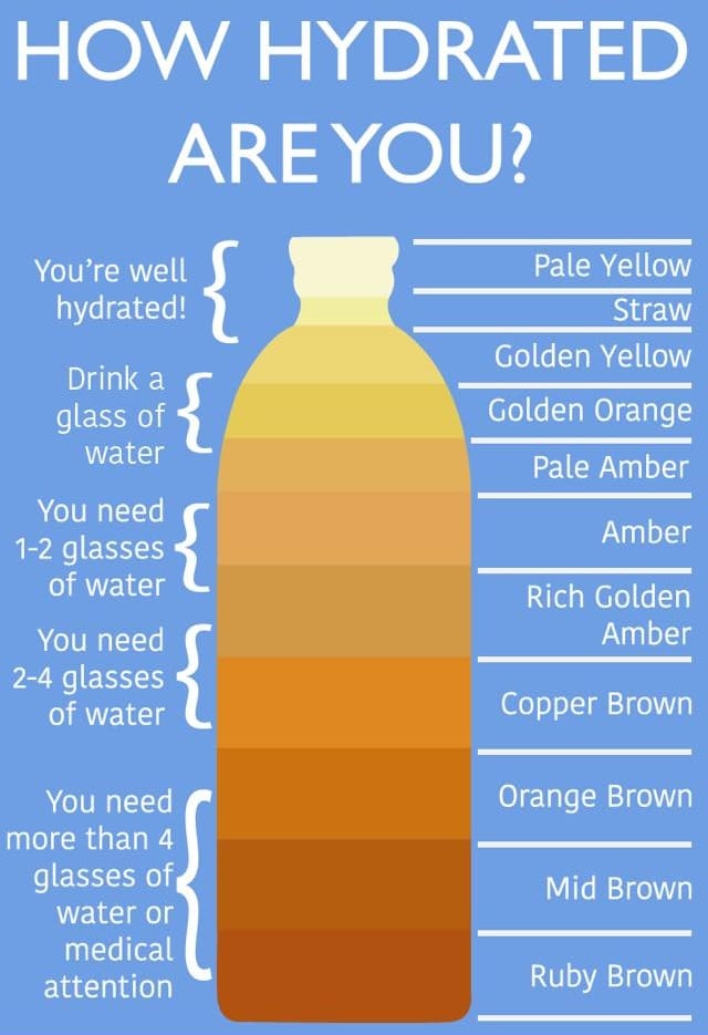 How Hydrated Are You?