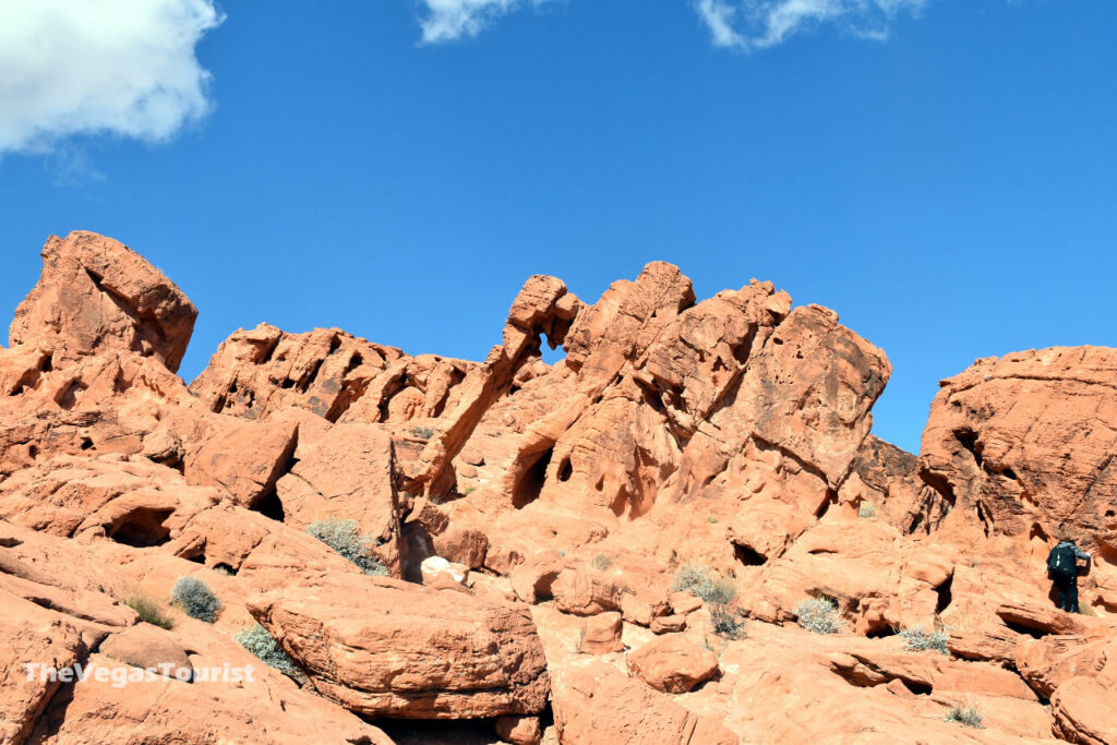 Take a tour to Valley of Fire